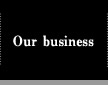 our Business